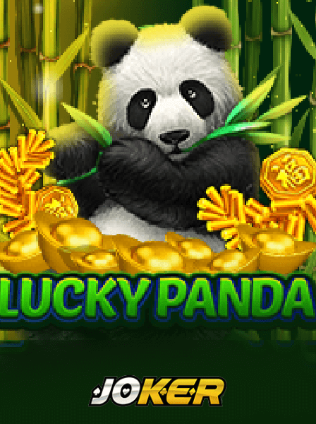 AppBet Casino Bonuses Explained: Wagering Requirements and Payouts
