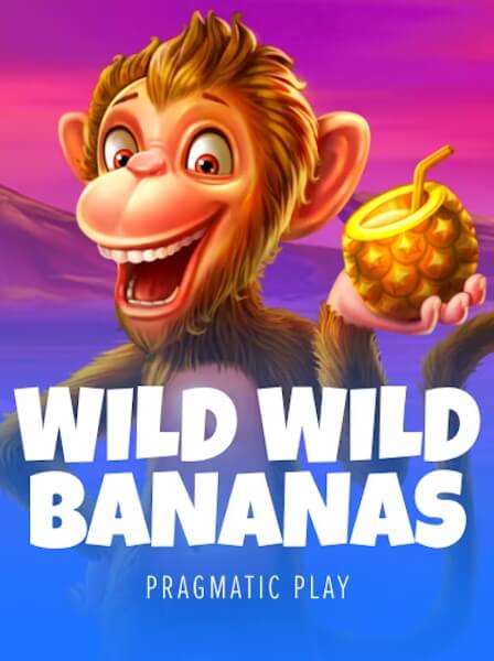 Insider Tips for New Players at VivaLive Casino